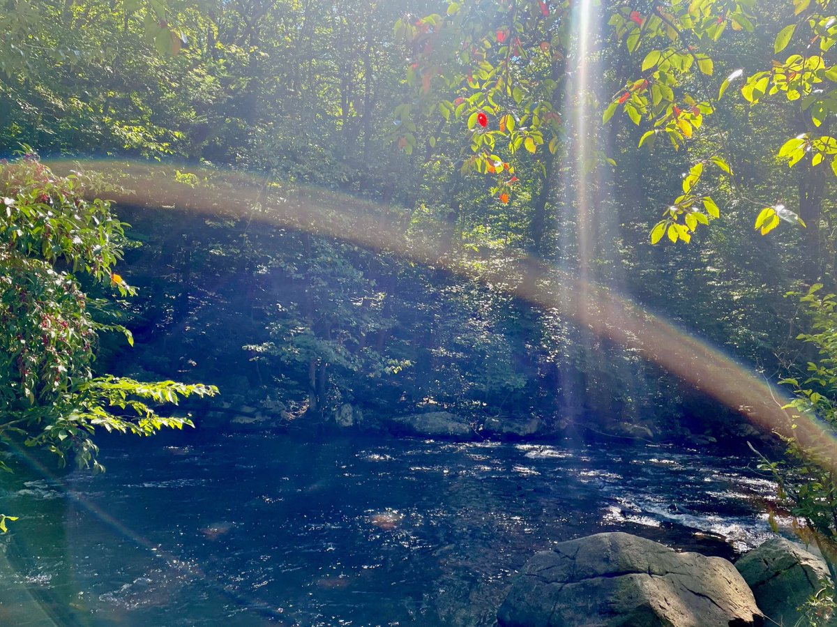 Captured this treasure while on a morning hike with my family. What a gorgeous day.