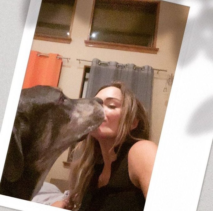 🐕🐾💕 https://t.co/yjZR6cgV8l<a href="/tag/sugarbabieswanted"class="tags"><span>#sugarbabieswanted</span></a>