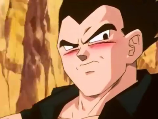 Vegeta fans Club tweet media