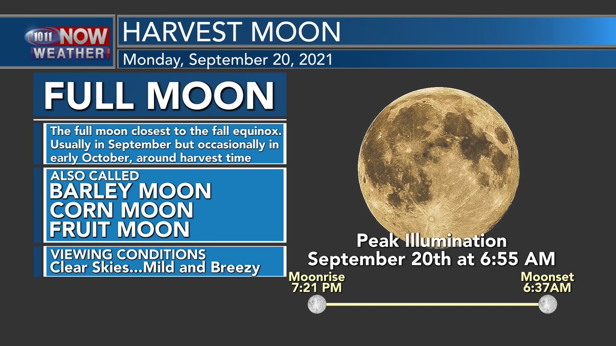 🚨 Full Moon Alert 🚨

You may have already seen it tonight, but the September full moon is tonight! Peak illumination is just after "moonset" Monday morning but we should have a good view of the Harvest moon this evening!