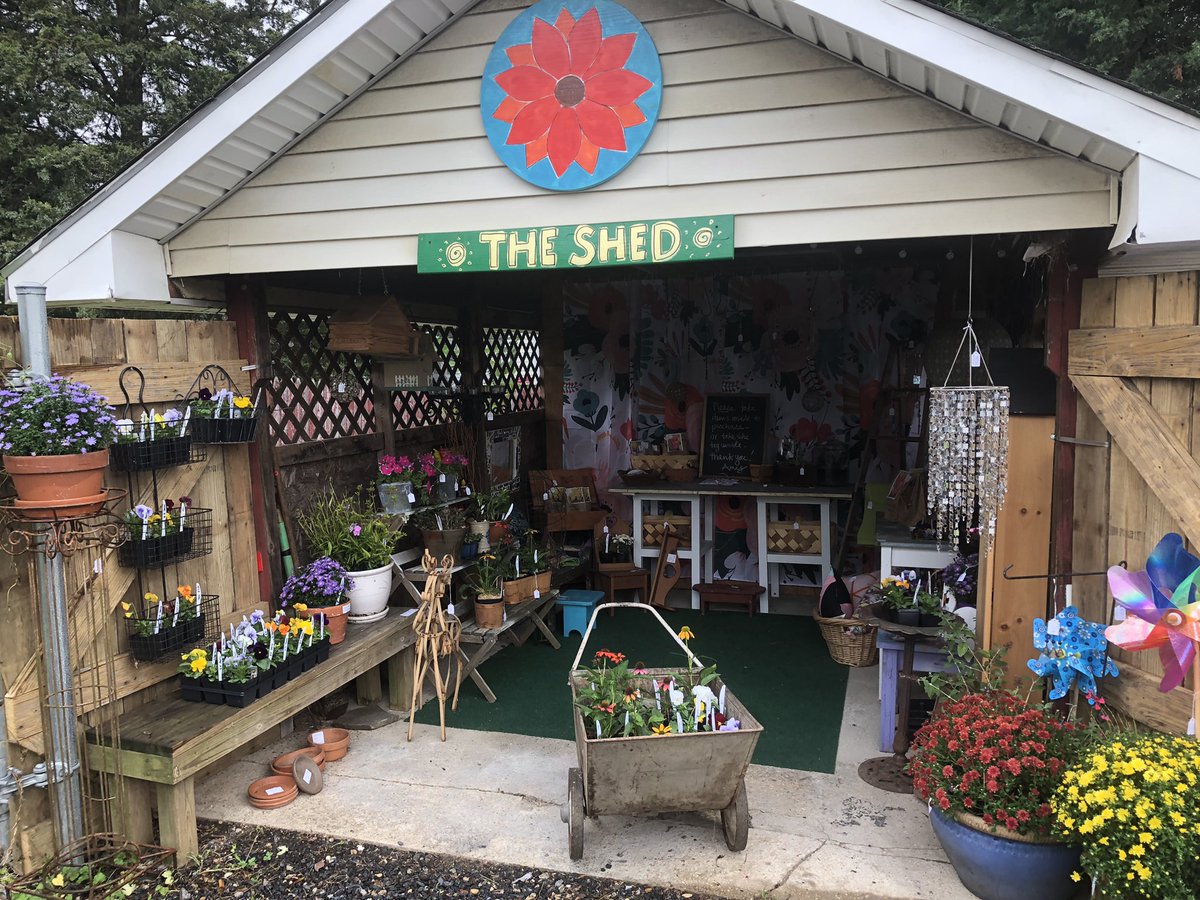 Cone flower, mums, pumpkins and pansy’s are available for purchase!  Plus a lot of other interesting artful things.