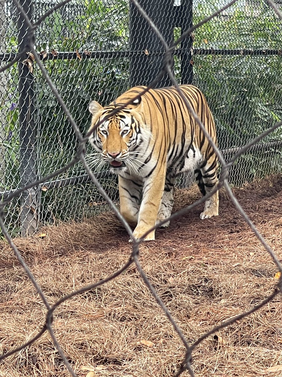 Thank you <a href="/LSUbaseball/">LSU Baseball</a> <a href="/LSUCoachJ/">Jay Johnson</a> for a great camp experience!