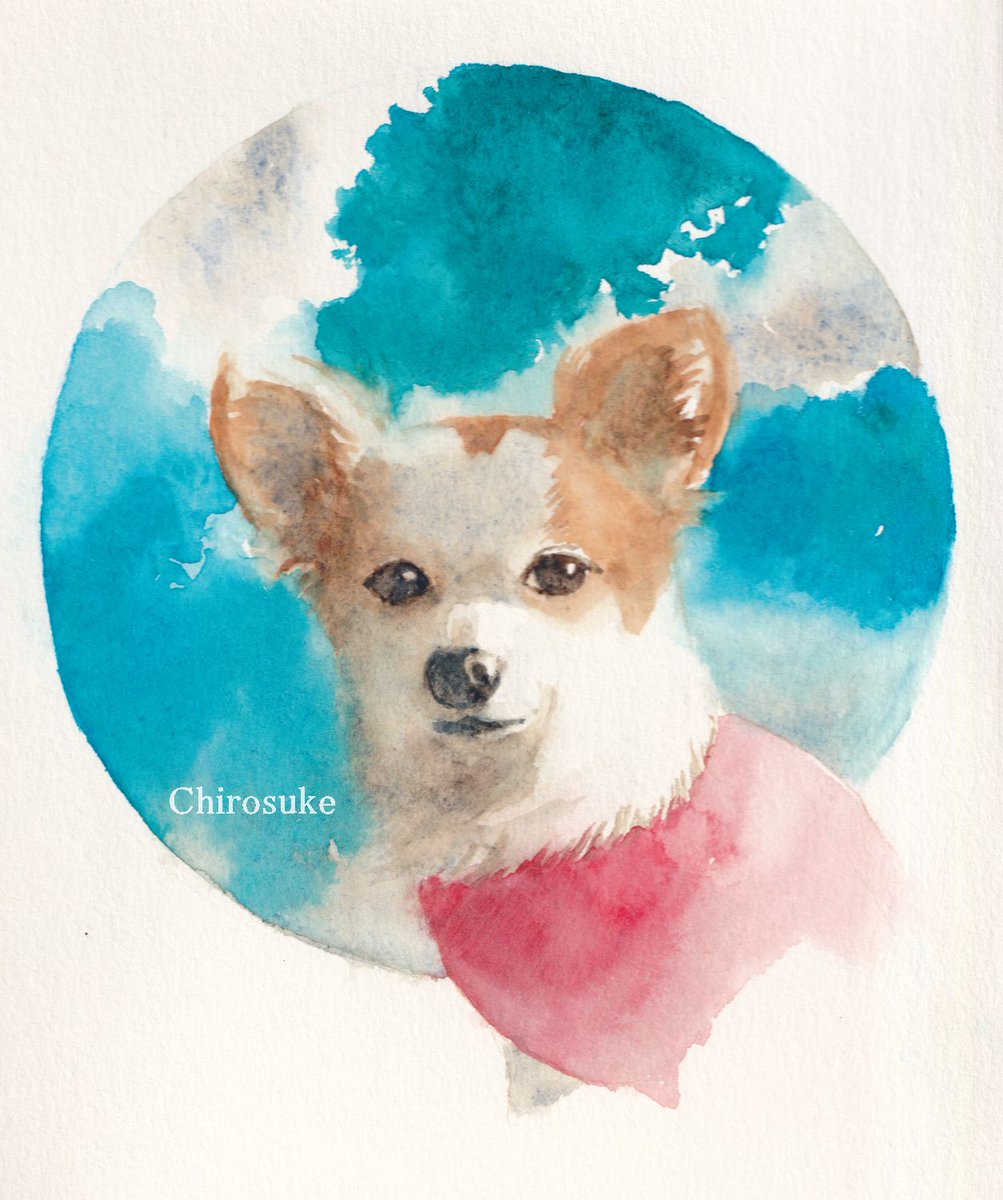 animal focus no humans sky cloud outdoors dog day  illustration images