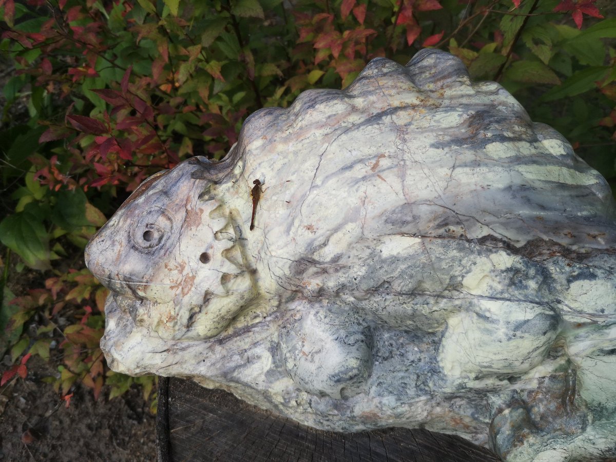 StoneFigures's tweet photo. At the Landed Exhibition this wknd 'Basking' (Aurora Marble) found its forever home!  I'm gonna miss him and realized my last photo of him was with this dragonfly and I missed part of his tail.
#marblesculpture #beardeddragon #dragonfly #badphotographer #auroramarble #lizard https://t.co/qs62LjfFTX