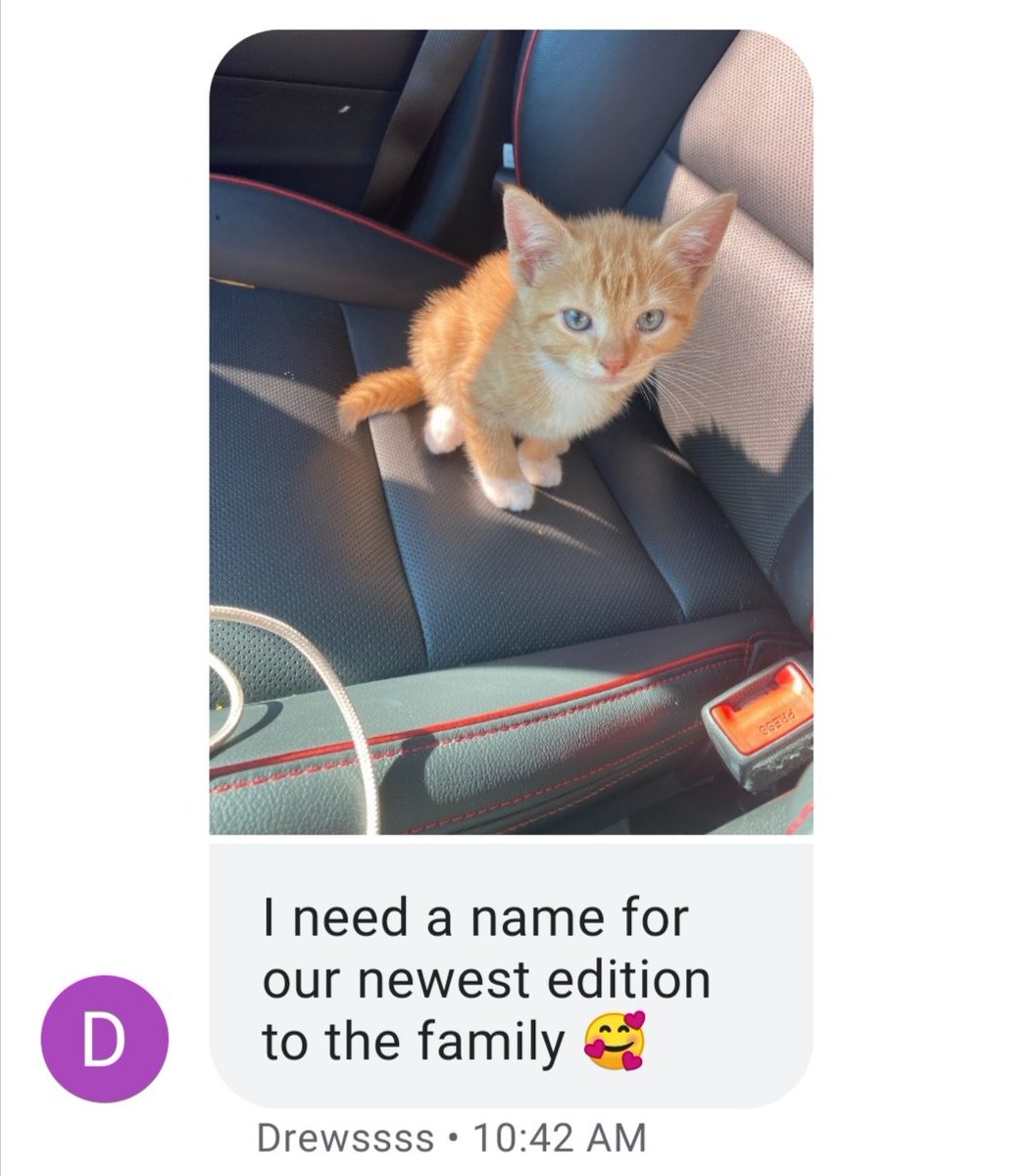 ow_riki's tweet image. I need your help for this very important cause