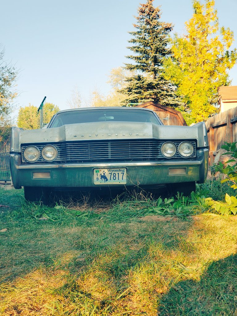 Comedy Quaalude (@neverbenfunny) on Twitter photo 