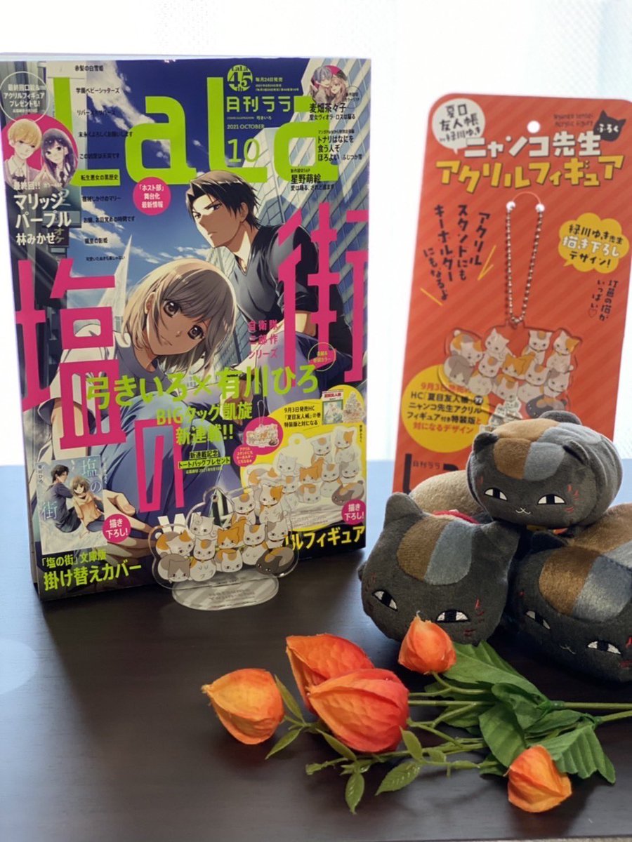 夏目友人帳公式ツイッター Natsume Nyanko Twitter 夏目友人帳公式ツイッター Natsume Nyanko Twitter