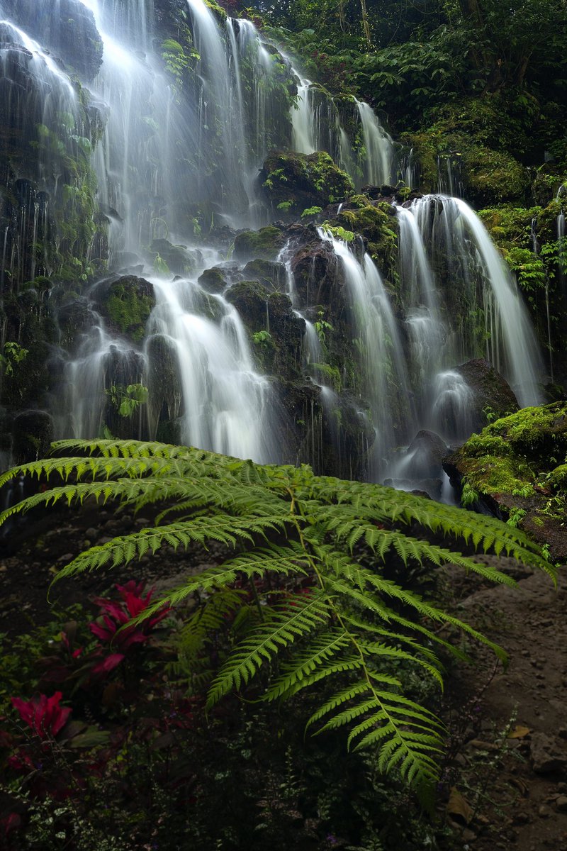 There is something very therapeutic  about listening to the sound of water tumbling, flowing, gurgling. Like the journey of life this cannot be reversed either and rocks along it’s path only make the journey more musical.
