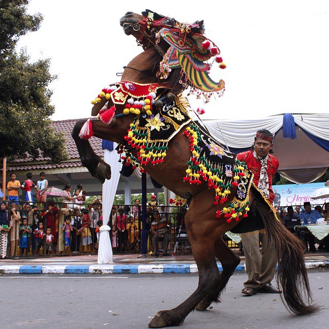 Kesenian Jaran Kencak Merupakan sebuah kesenian yg menonjolkan kelincahan kuda Kencak sebagai ikon nya Makna dari 'Jaran Kencak' Jaran (kuda) Kencak (menari) dimana pada zaman dahulu kesenian ini sering dijadikan sbagai wujud suka cita masyarakat. #programfolback #PuspitaNagari