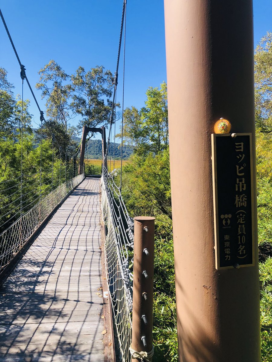 公論サポーター関東支部 7 3 土 よしりん十番勝負大成功 على تويتر 夏が来 れば思い出す 尾瀬は快晴コロよ 三連休 なりから ステイホームなんかしてないで お出かけ お出かけ え 緊急事態宣言 なにそれ 美味しいの 尾瀬の空気はとっても