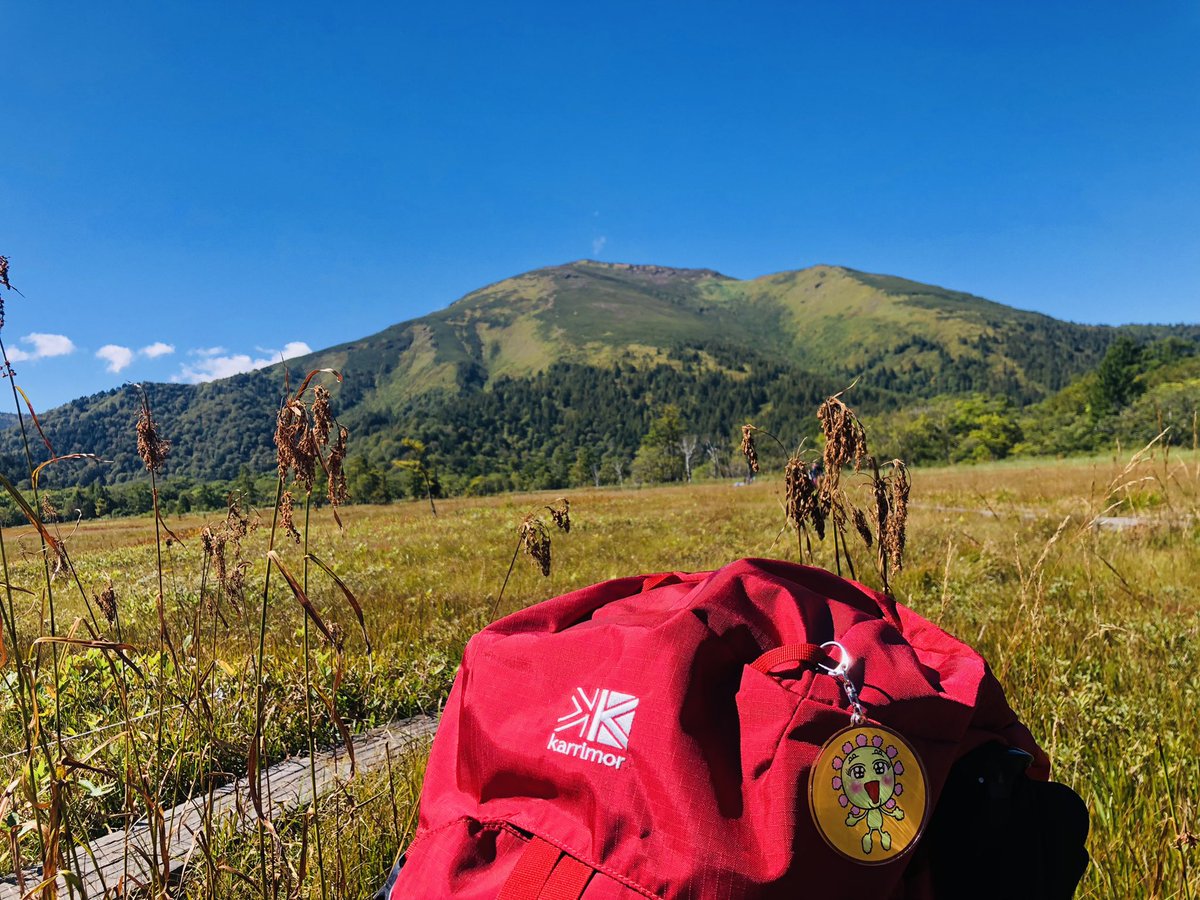 公論サポーター関東支部 7 3 土 よしりん十番勝負大成功 على تويتر 夏が来 れば思い出す 尾瀬は快晴コロよ 三連休 なりから ステイホームなんかしてないで お出かけ お出かけ え 緊急事態宣言 なにそれ 美味しいの 尾瀬の空気はとっても