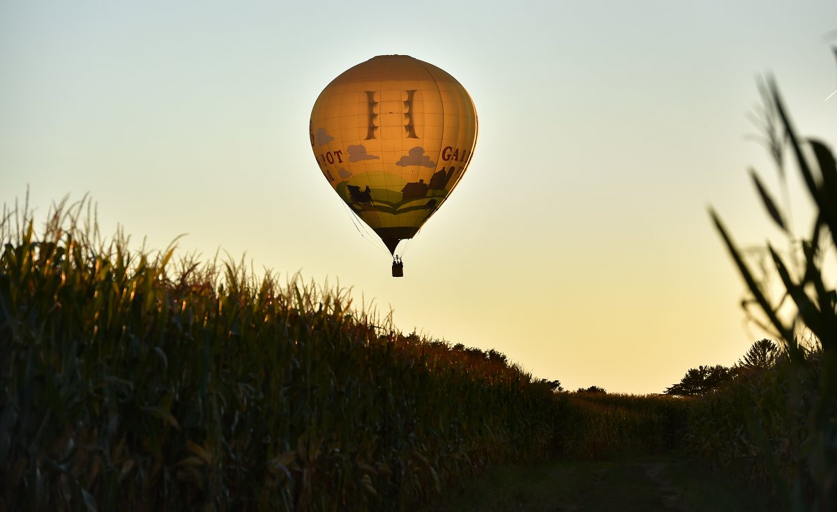 A hot air balloon festival held in Bird-In-Hand, featured dozens of balloons as well as family entertainment, food, buggy and hay rides. Look for more photos here. lanc.news/2XyoJ5R <a href="/LancasterOnline/">LNP | LancasterOnline</a>