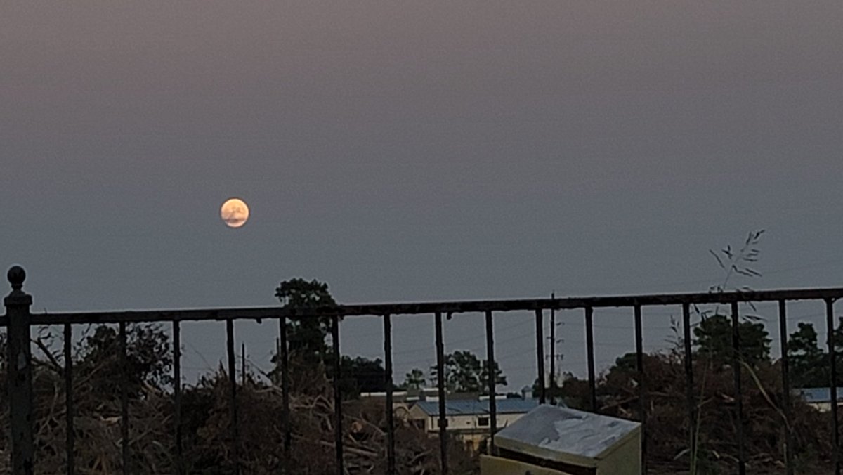 rawr_evelyn's tweet photo. Goodnight, y'all! Hope y'all had a wonderful weekend. @SamsungMobileUS @SamsungMobile #withGalaxy #Note20Ultra #GalaxyNote20Ultra #moon #TexasForever #GodBlessTexas https://t.co/O8rvEXdGSG