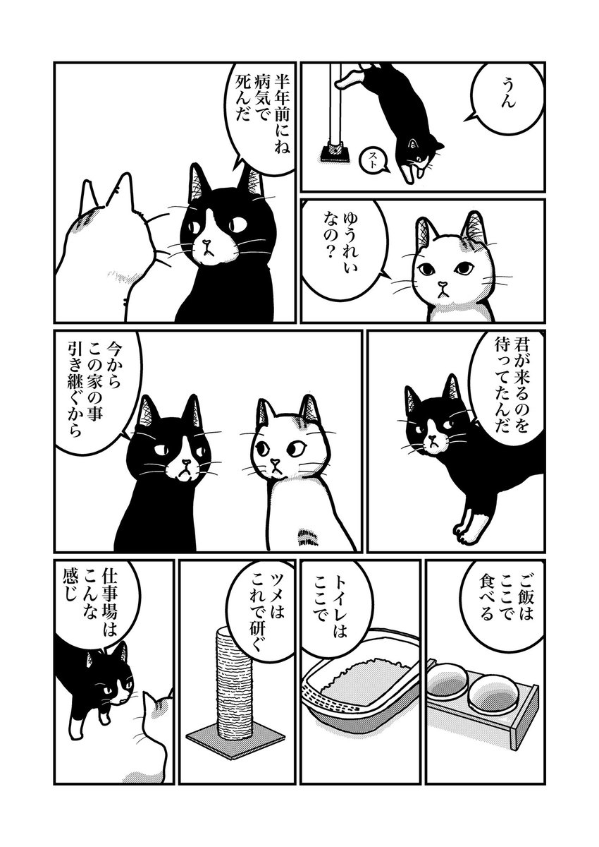 「前任者からの伝達事項」
新作4ページです。
読んでいただけたら幸いです。
#エアコミティア  137 