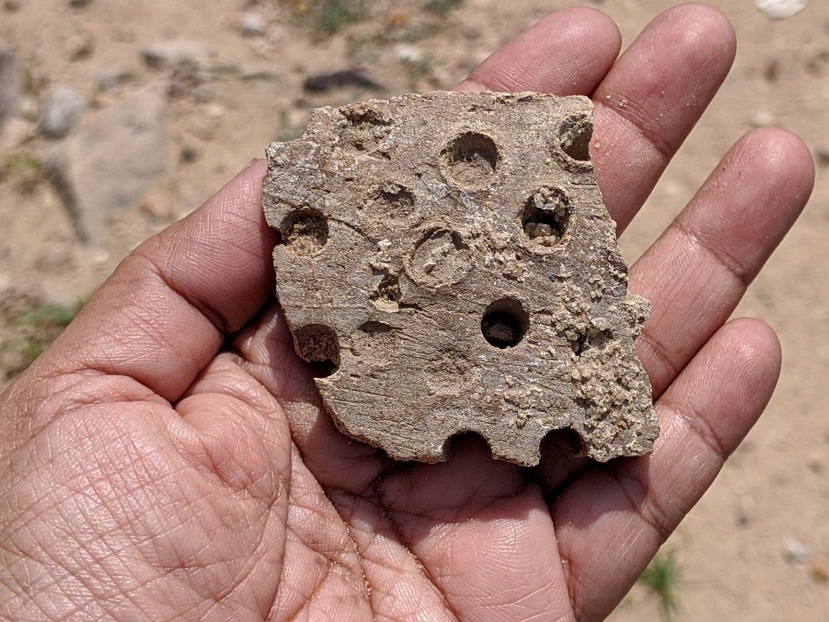 NEW Post: My walk through the ancient ruins of Indus Valley Civilization in #Dholavira Gujarat. Acres of #Harappan times' remains all around, it was great connecting with the past.
--> buff.ly/3kqbc9M
<a href="/GujaratTourism/">Gujarat Tourism</a> #travelblog