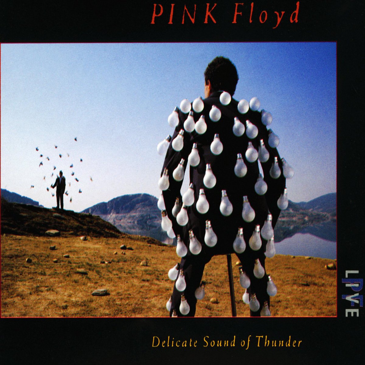gregdabelstein's tweet photo. Album a Day in 2021 with @gregdabelstein
@pinkfloyd “The Delicate Sound Of Thunder”
Released 1988
#RockSolidAlbumADay2021 #LiveAlbumMonth 
262/365
I remember feeling the heat from the exploding plane at this show. The recent expanded/remixed edition of the full concert is best…. https://t.co/WWiMFPLkuj