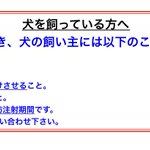 日本では犬への狂犬病予防注射は義務だが 接種率が下がっていることについて 自分や周りを守るためでもある Togetter