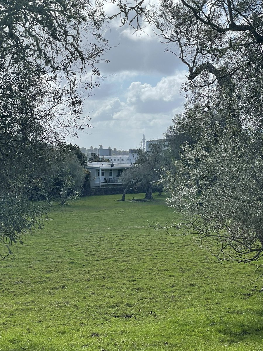 kiwi_kali's tweet image. Finally managed to find a different #SkyTower perspective on #LockdownWalk today @chamfy @richardhills777 @max_tweedie 
Back to face to face #EssentialWork tomorrow