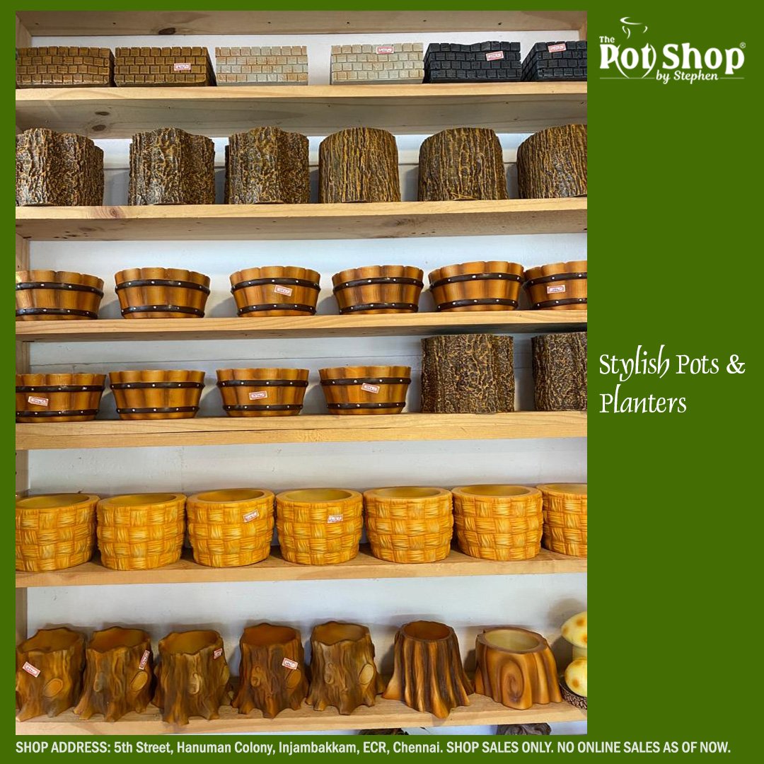 ThePotShops's tweet photo. Stylish Pots &amp; Planters !!!
Exclusive Range of Planters !!!
Choose from a wide variety of garden planters!!!
🏡 ADDRESS: 5th Street, Hanuman Colony, Injambakkam, ECR, Chennai
Shop Time: Everyday 9 am to 9 pm
#potshop #potshopecr #thepotshop #indoorplants #ceramicpots #plantshop https://t.co/gJBeoHIHb1