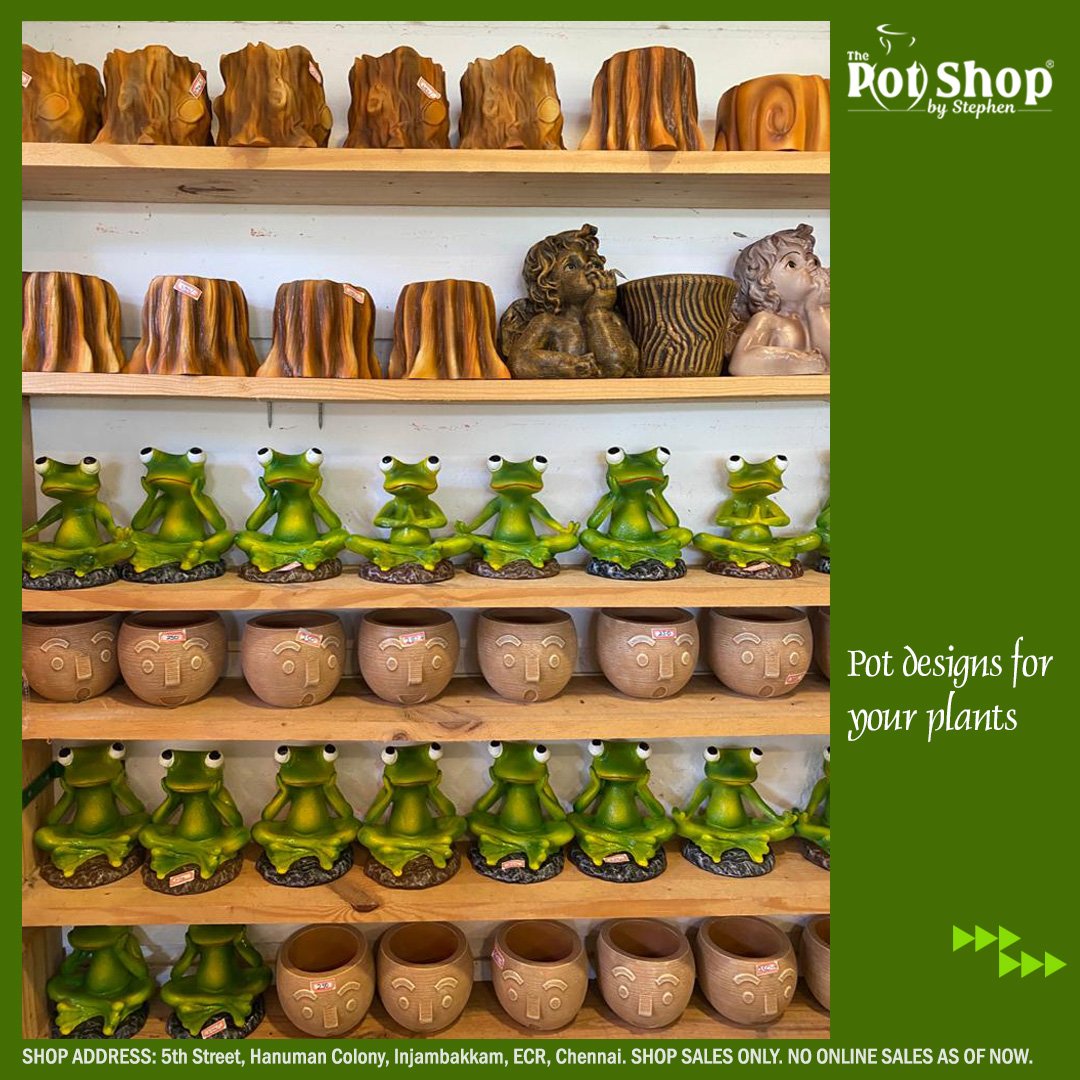 ThePotShops's tweet photo. Stylish Pots &amp; Planters !!!
Exclusive Range of Planters !!!
Choose from a wide variety of garden planters!!!
🏡 ADDRESS: 5th Street, Hanuman Colony, Injambakkam, ECR, Chennai
Shop Time: Everyday 9 am to 9 pm
#potshop #potshopecr #thepotshop #indoorplants #ceramicpots #plantshop https://t.co/gJBeoHIHb1