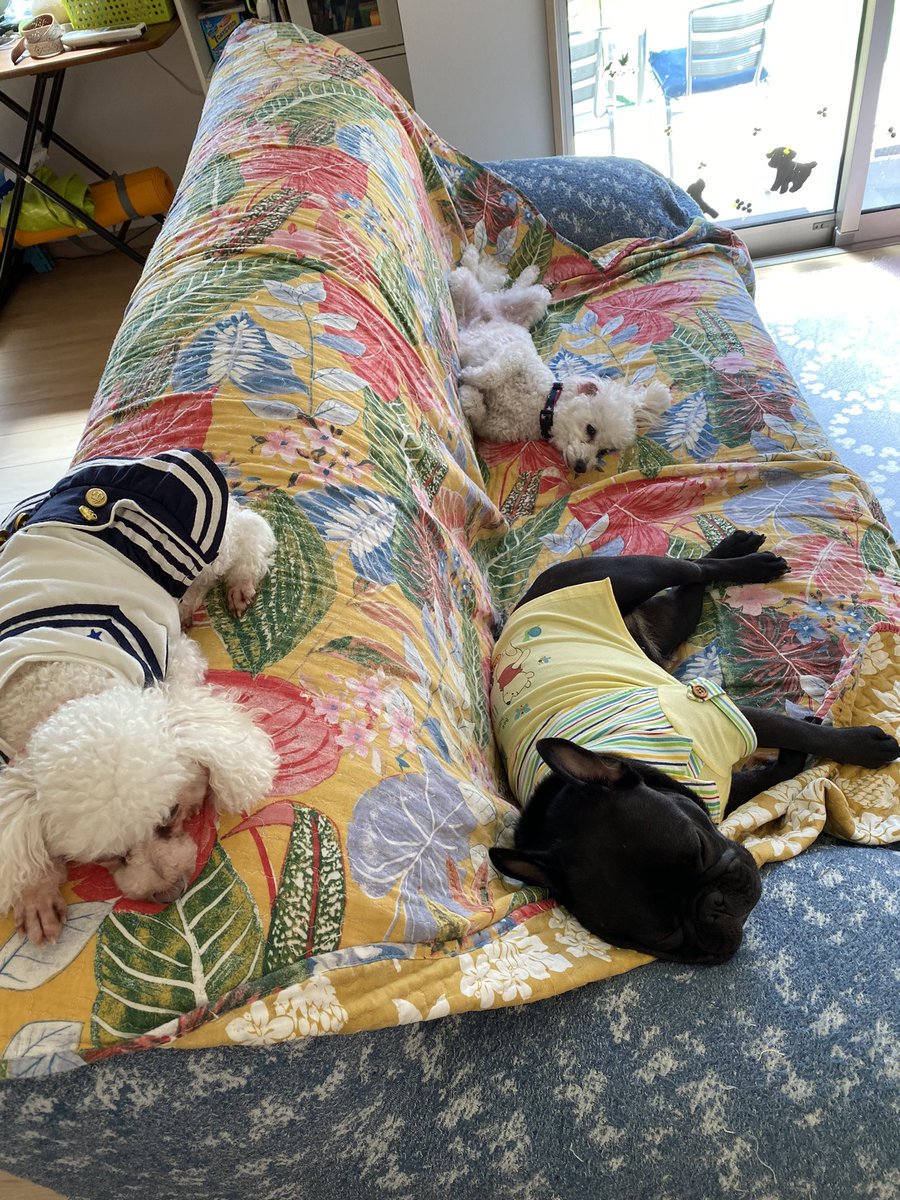 Dnm1209's tweet photo. マッタリ休日 https://t.co/RjbGsbR7Xw