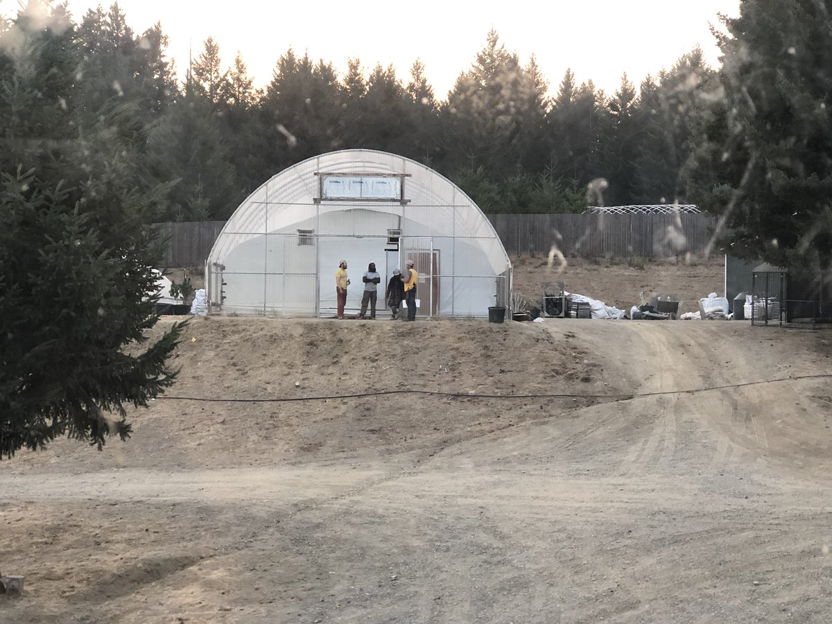 SoHumRoyal1's tweet photo. These guys make it all happen!  Cup winning strains in Humboldt County, craft cannabis at its BEST💚 https://t.co/OAz8szIQdG