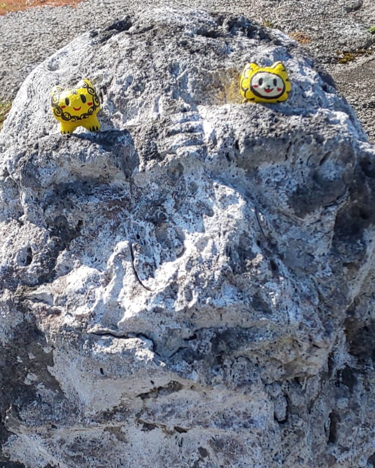 シーサー神社 準備中 のんびりサイクリング 糸満市嘉手志の石獅子他22 3km 今日からお供も連れて 先輩シーサーと一緒に撮影 石獅子 村獅子 シーサー ロハスシーサー くるくるシーサー T Co Pqduz8sq3f Twitter