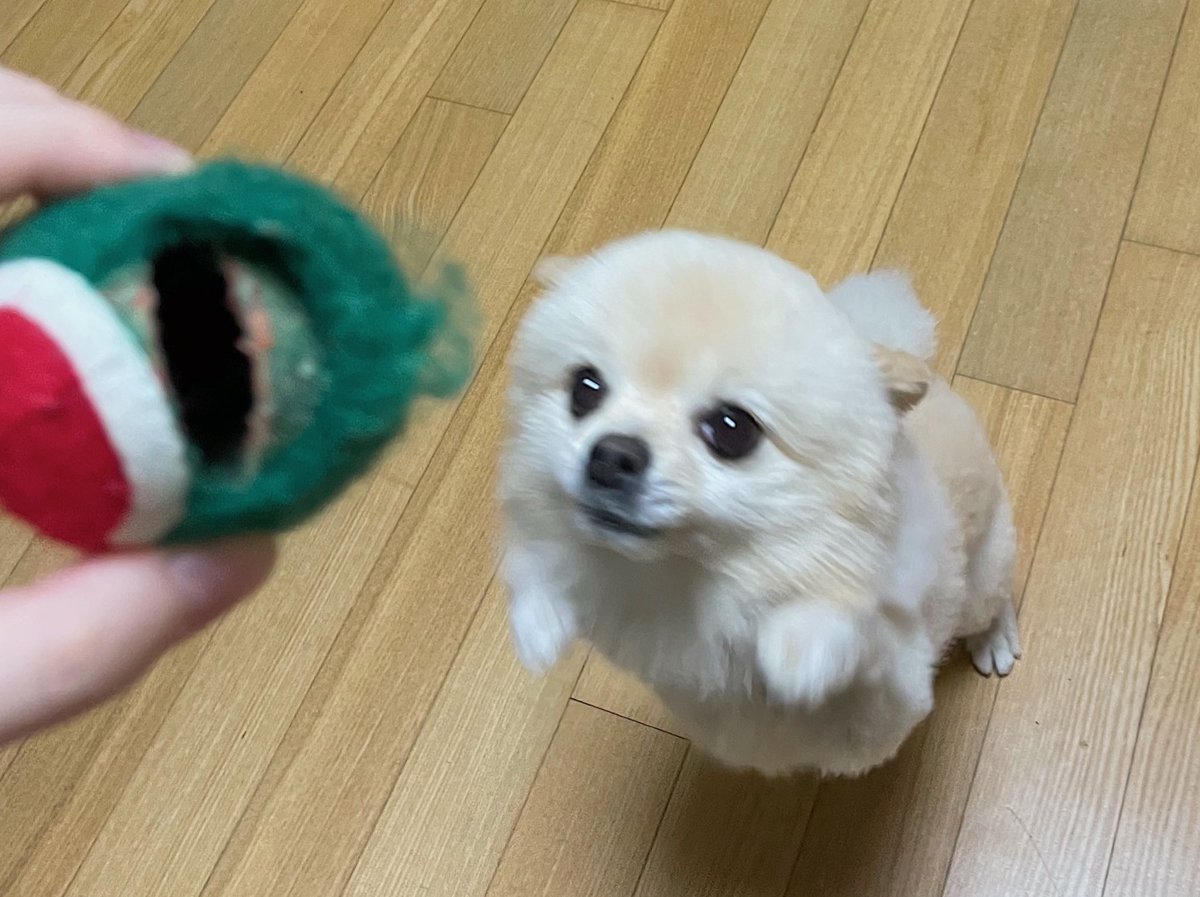 227thor's tweet photo. https://t.co/yH39FQ1cBr