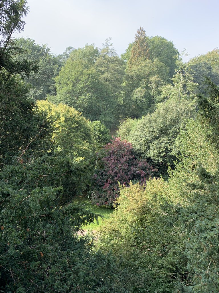 <a href="/greenarteries/">Wendy Blythe</a> <a href="/Greens4A/">Greens4Abbey</a> <a href="/CambridgeGreens/">Green Party: Cambridge & South Cambs</a> @MsHilaryCox <a href="/simon_carne/">Simon Carne</a> <a href="/NaturalCambs/">NaturalCambs</a> <a href="/cllrbridget/">Cllr Bridget Smith 🔶️</a> @TDAG_TalkTree <a href="/InsideCroydon/">Inside Croydon</a> <a href="/talklandscape/">Landscape Institute</a> Enforcement appears to be an optional extra. Skills shortages and lack of funding for planning departments means that trees are needlessly damaged and removed. <a href="/michaelgove/">Michael Gove</a> it takes 50 years for a young tree to have an impact on climate change. We must #CherishTrees