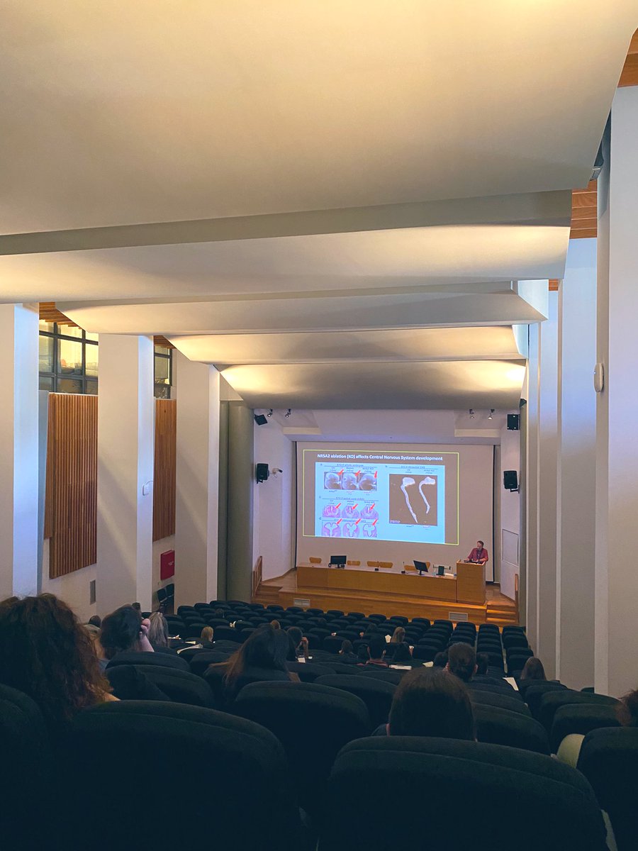 BRFAA_IIBEAA's tweet photo. Welcome to Athens and @BRFAA_IIBEAA !!#ESNadvancedschool
@ESNsociety @ISN_society https://t.co/L3ciBvuo52