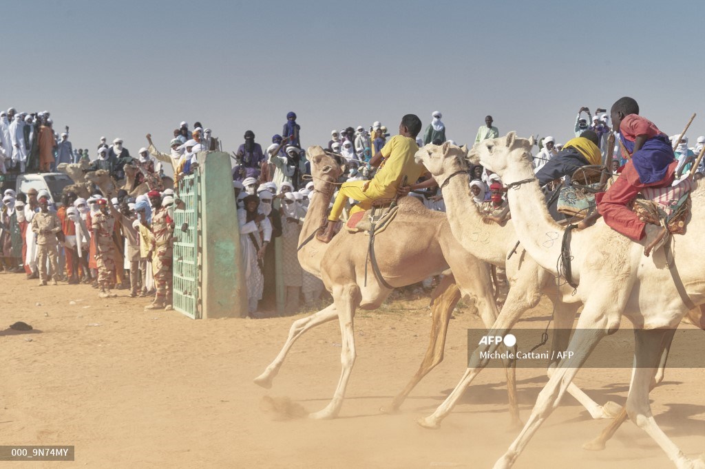 AFP Photo (@afpphoto) on Twitter photo Heat, glory and speed: In Ingall, one of the main camel races in the Sahara. #AFP
📸 <a href="/cattani_michele/">Michele Cattani</a> Heat, glory and speed: In Ingall, one of the main camel races in the Sahara. #AFP
📸 <a href="/cattani_michele/">Michele Cattani</a>