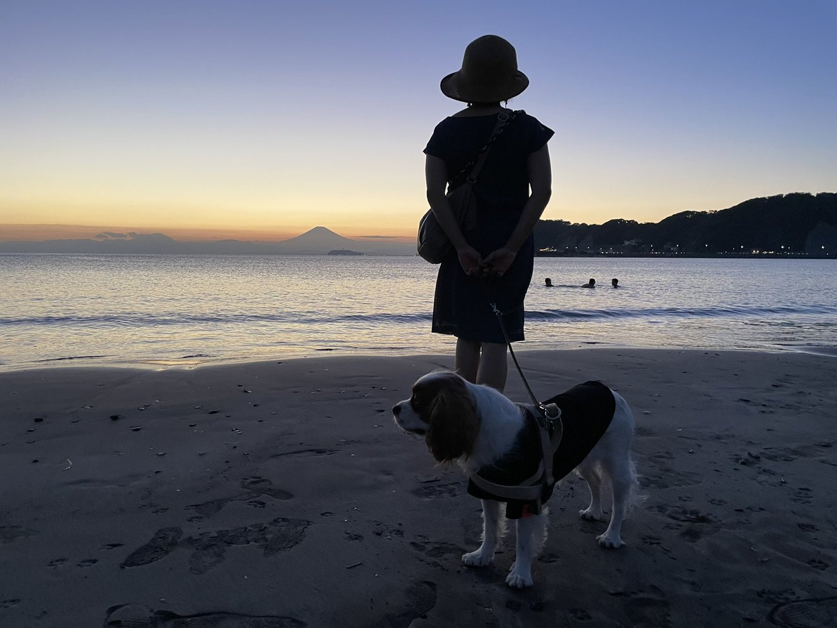 Inutabi 海辺と犬と ハイエース 湘南移住 海街歩き Inutabi Hiace Twitter Inutabi 海辺と犬と ハイエース 湘南移住 海街歩き Inutabi Hiace Twitter