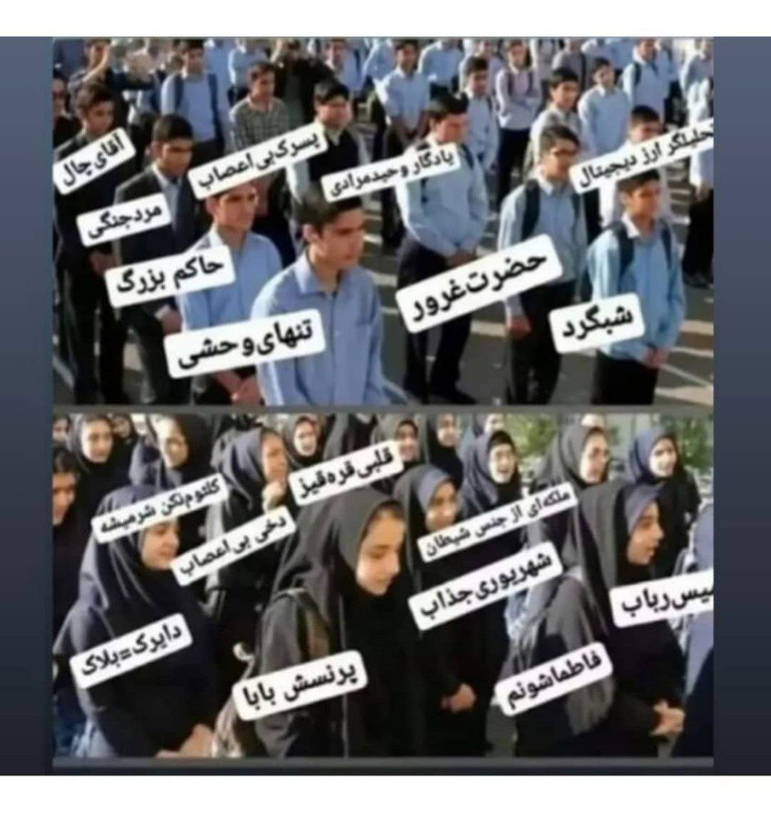 ممدترین tweet media