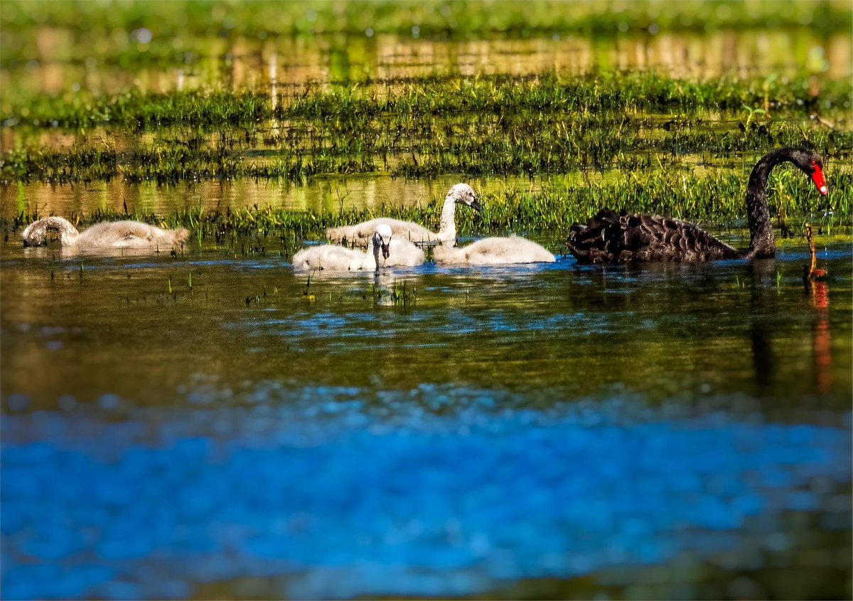 Family time.