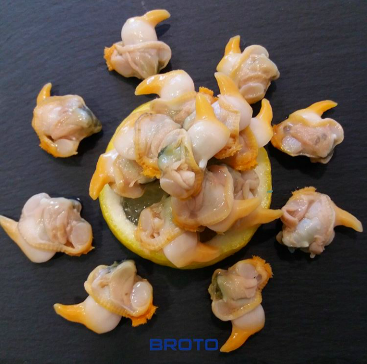 ConservasBroto's tweet photo. 🥫👌🏼 Los #Berberechos de @ConservasBroto, elaborados con agua y sal y empacados a mano con respeto y cariño, suponen una gran fuente de proteínas de calidad 🔝

Son un perfecto entrante para cualquier ocasión...¡Sorprende a tus invitados! ➡ https://t.co/AA0pI6Vn2x https://t.co/iEThRJKpYd
