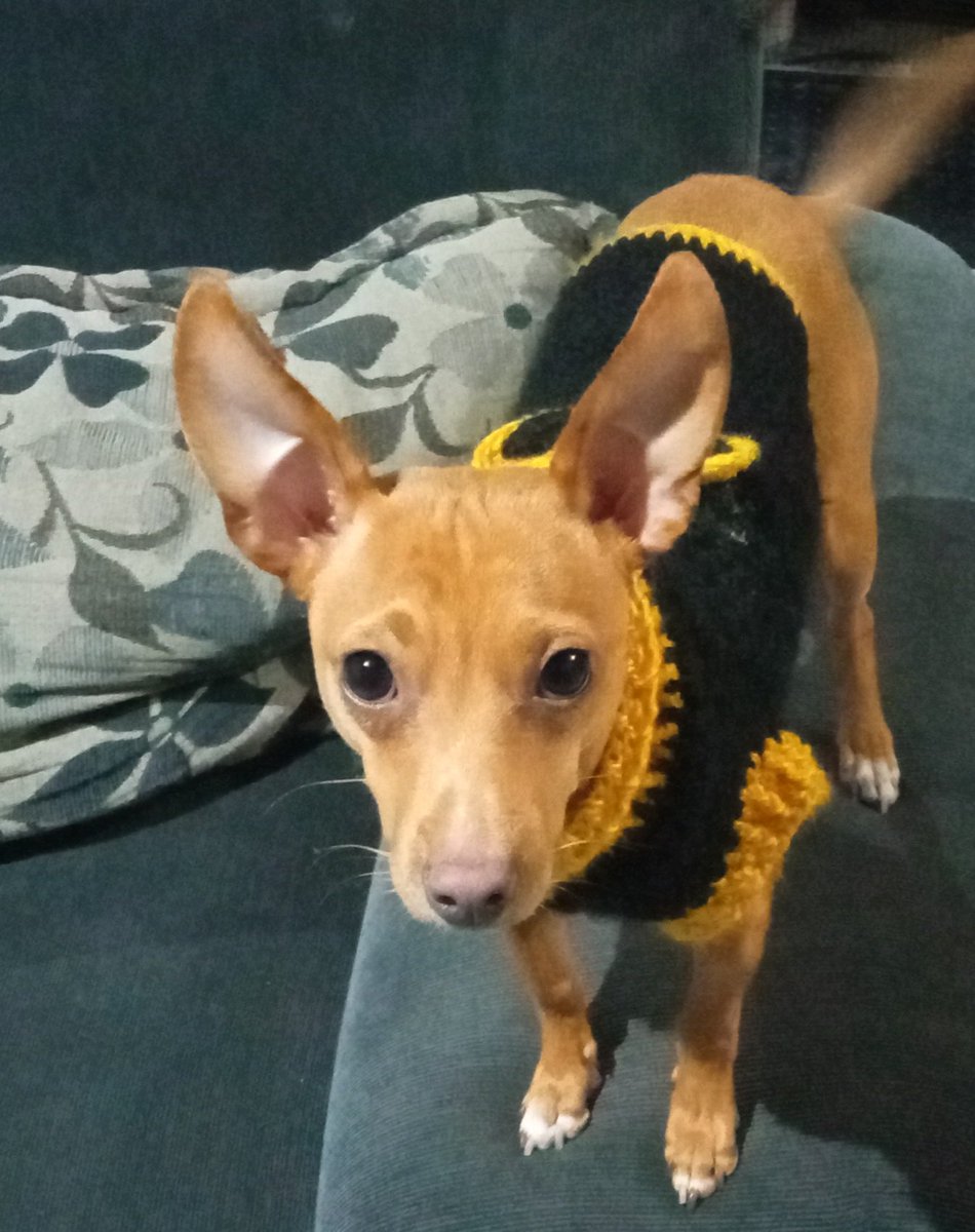 #Tesigomanya pronto para el jueves 💛🖤💛🖤💛🖤💛