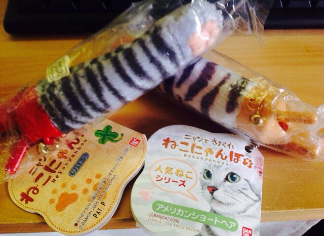 ねこにゃんぼう Twitter Search Twitter