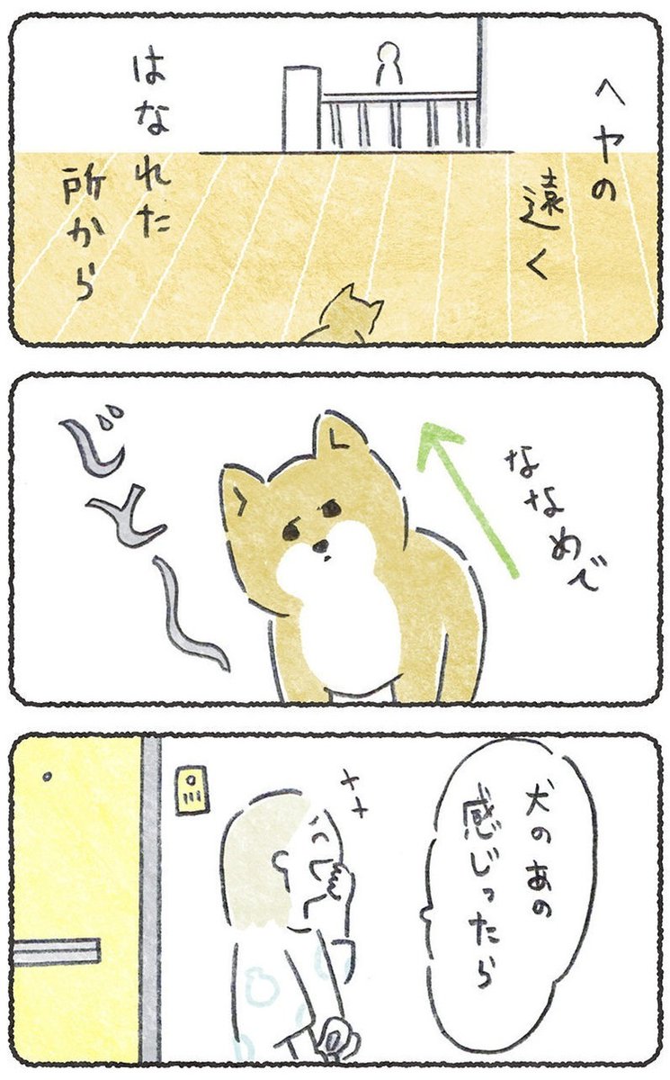 見送りもお出迎えも遠い犬

(1/2)
#豆しばこつぶ 