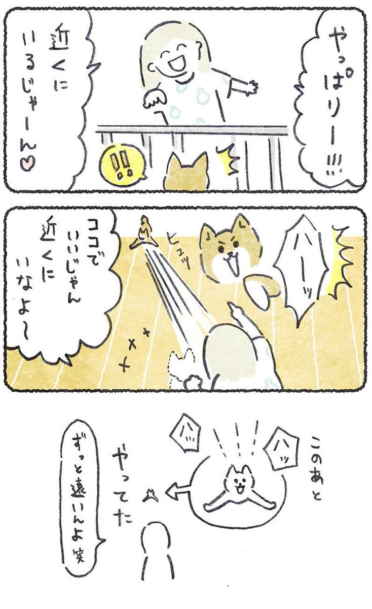 (2/2)

第156話★
https://t.co/mjVw3vlBWU

このつづきは、URLから↑🙏

「豆しばこつぶ」は毎週月よう朝10時に
公開され、24時間
無料で読める漫画です😄🌸 