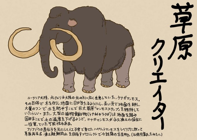 やんわりッ古生物のtwitterイラスト検索結果 やんわりッ古生物のtwitterイラスト検索結果