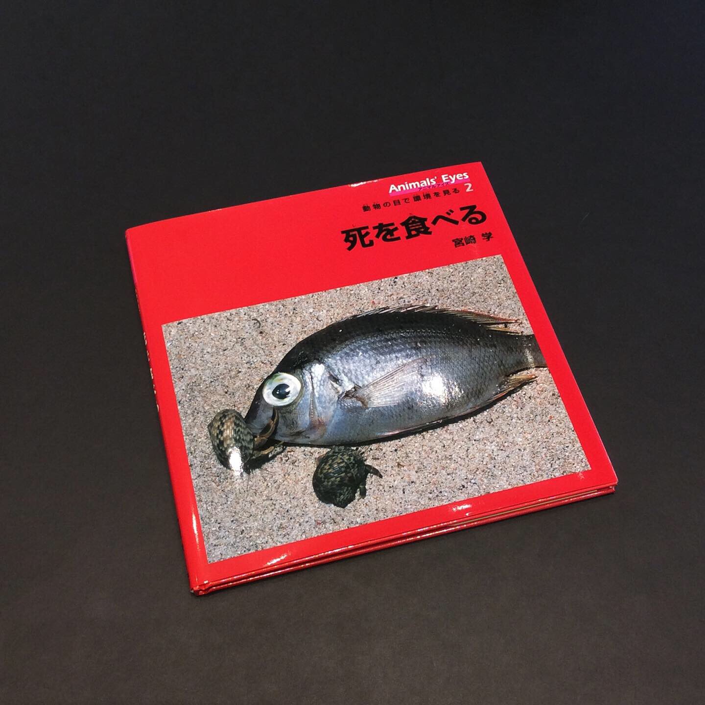 Nadiff Baiten En Twitter Recommend 宮崎学 イマドキの野生動物 関連書籍 アニマルアイズ シリーズ 展示の見どころの一つである 死を食べる をはじめ 明るい夜を生きる動物たちの姿を通して光害問題を考える 明るい夜 など アニマルアイズを通じて動物