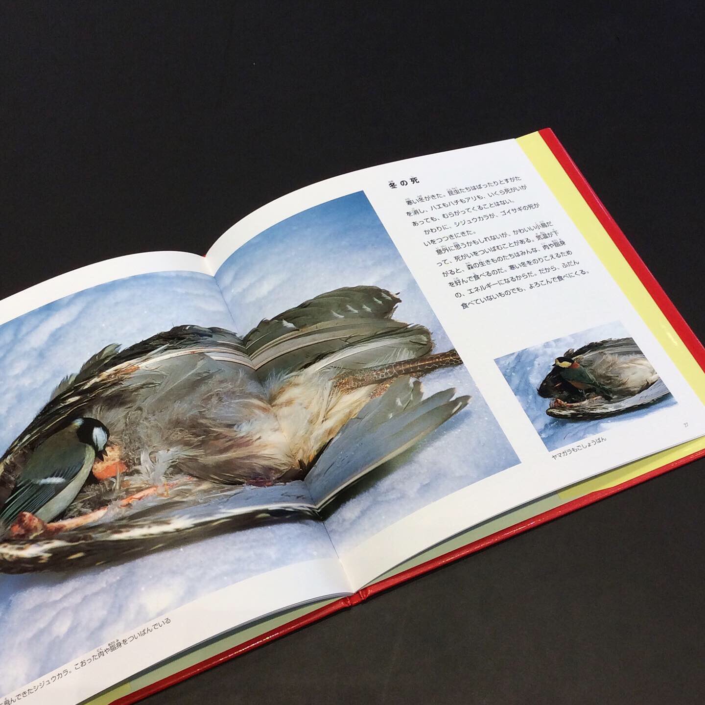 死 : 宮崎学写真集