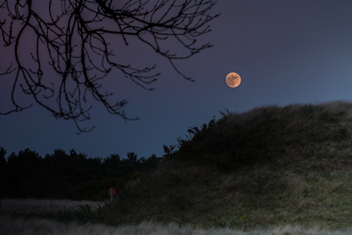 nationaltrust's tweet photo. The Harvest Moon shows its face tonight. As seasons change, it’s an ideal time to consider your own personal harvest from this year. What can you enjoy and be grateful for? #EveryoneNeedsNature https://t.co/aGzygP0MSC