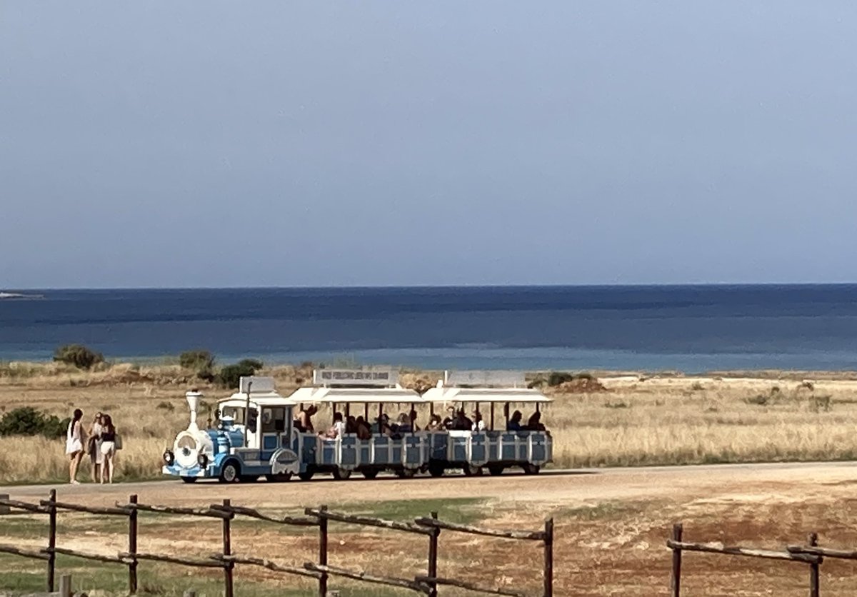 San Vito lo Capo tweet media