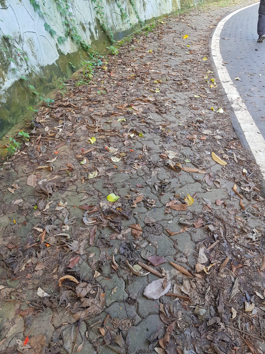 JahirAbbas7's tweet photo. @CMOfficeAssam 
@himantabiswa
The Government of Assam has declared the historic Gandhi Mandap Road as Walking Zone and we are happy with your decision. But how can we walk in the morning  on such a dirty road.🙏Please arrange sweeping at least once a week. https://t.co/91IBlRc6TV