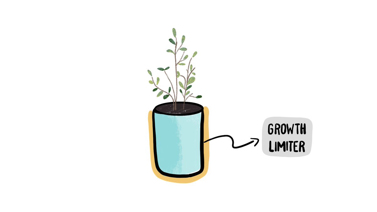 ob_visualizes's tweet image. A plants growth potential is limited by the size of the pot, even if it gets enough water and sun.

So the next time you feel stuck, even after you&apos;ve worked hard.

Ask yourself, what is limiting my growth potential ?