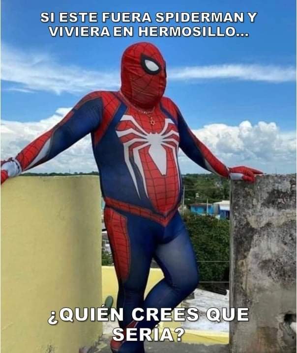 Encuesta arácnida...