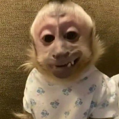  Happy birthday Amanda!! Hope you have a great day!! 