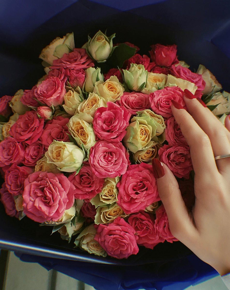 Jna_9_ty's tweet photo. قد تناهى إلى قلبي مع أول زهرة فتحت دفترها للربيع، أنك ما زلتِ هناك كما تركتكِ، متوردةً باسمةً غير عابئةٍ بتعاقب الفصول، كأني بكِ أخذتِ العهد على ألا تطال جمالكِ دورات الزمن وتقلباته. 
♡
ربي يديمكِ لي عمر ما تقصر سنينه..أملـي ♥️
➥@AM_9_AM https://t.co/Fh4OpOsRvV