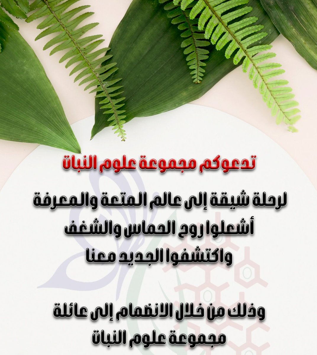 docs.google.com/forms/d/e/1FAI…

لا يُمكِنُ أن نعود إلى الوراء لنصنع بداية جديدة ، إلا أنه يمكن أن نبدأ مِن الآن في صناعة نهاية جديدة 🌿💚

نضع بين أيديكم استمارة الانضمام لمجموعة علوم النبات التابعة لكلية العلوم الزراعية والبحرية بجامعة السلطان قابوس للعام الأكاديمي 2022/2021🌿💚
